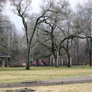 A quiet park scene featuring bare trees and a playground in the distance.