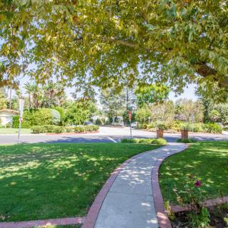 A sunny day with a winding walkway surrounded by lush greenery and trees.