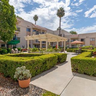 A well-maintained courtyard featuring hedges, a pergola, and palm trees, adjacent to a residential building.