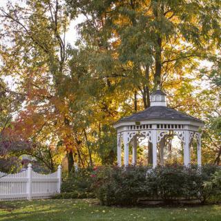 A charming white gazebo surrounded by autumn foliage in a serene garden setting.