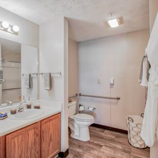 A well-lit bathroom featuring a sink with wooden cabinets, a large mirror, and an accessible toilet with grab bars.