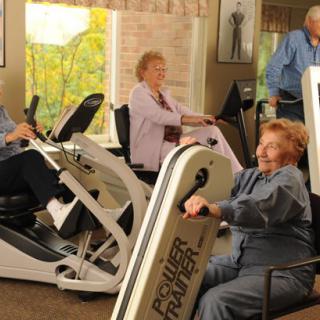 Elderly individuals exercising in a fitness facility using various machines.