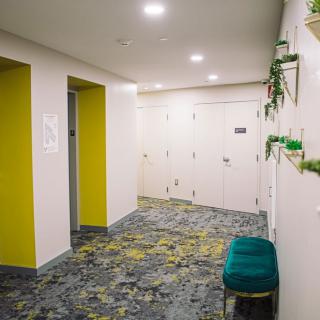 A modern hallway with vibrant yellow elevator doors and decorative plants.