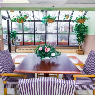 Sunlit dining area with striped chairs and hanging plants.