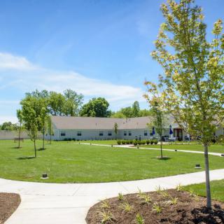 A sunny outdoor scene featuring a building surrounded by green lawn and trees, with a curved pathway leading up to it.
