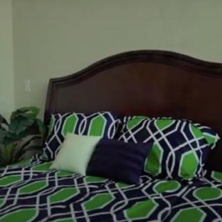 A neatly made bed with geometric-patterned bedding and decorative pillows beside a potted plant.