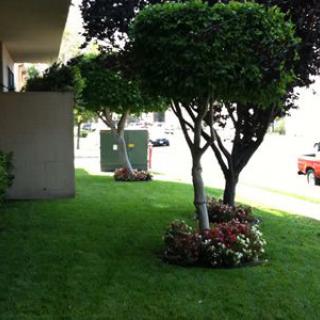 A well-maintained landscape featuring trimmed trees, lush grass, and flower beds.