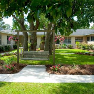 A beautifully landscaped front yard featuring a swing under a tree, surrounded by vibrant flowers and greenery.