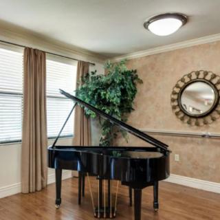 A stylish living room featuring a grand piano, adorned with elegant curtains, a wall mirror, and a decorative plant.