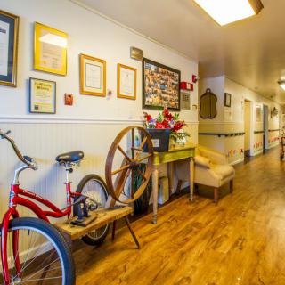 A brightly lit hallway with a bicycle, framed pictures, and various decorations.