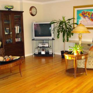 A cozy living room with hardwood floors, featuring a television, armchair, and an indoor plant.