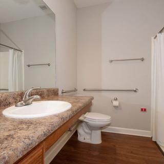 A modern bathroom with a large countertop, sink, and toilet, featuring safety grab bars and wooden flooring.