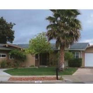A suburban house with a palm tree in the front yard and a neat lawn.
