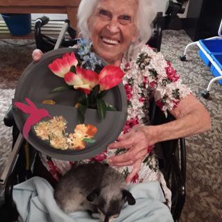 An elderly woman in a wheelchair holds a plate of flowers and snacks, with a small dog on her lap.