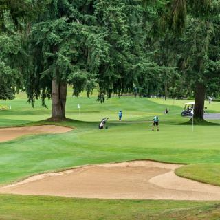 Golfers playing on a lush green golf course with trees and a sand trap.