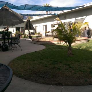 A sunny outdoor patio with tables, chairs, and greenery under shaded coverings.