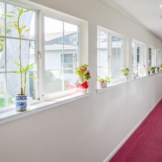 A bright hallway with large windows and potted plants.