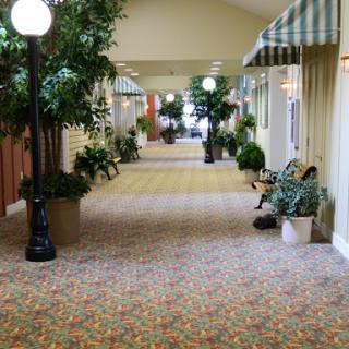 A well-lit indoor hallway adorned with decorative plants and a colorful carpet.