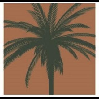 A stylish silhouette of a palm tree against a warm brown backdrop, evoking a tropical vibe.