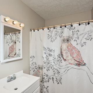 A bathroom featuring a shower curtain with an owl design, a mirror above the sink, and a light fixture.