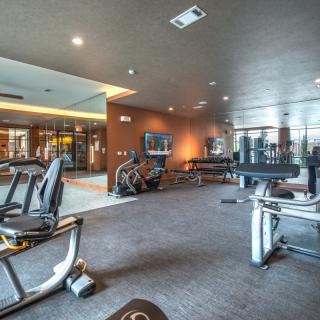 A modern gym equipped with a variety of exercise machines and weights.