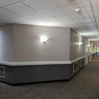 A well-lit modern office hallway featuring gray walls and carpet.