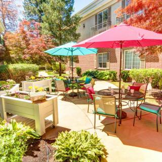 A sunny patio with colorful umbrellas and seating arranged in a landscaped garden.