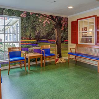 A cozy waiting room with colorful murals and wooden seating.