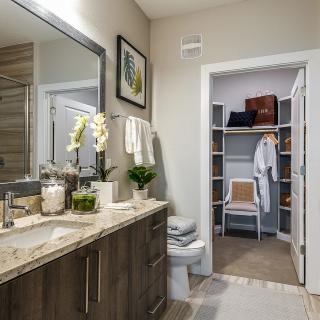 A modern bathroom with a connected walk-in closet, featuring a large mirror, sink, and stylish decor.