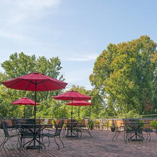 A scenic outdoor patio with red umbrellas offering a peaceful view of surrounding trees.
