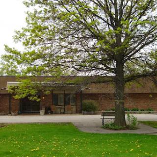 A serene outdoor view featuring a tree in front of a brick building with green grass.