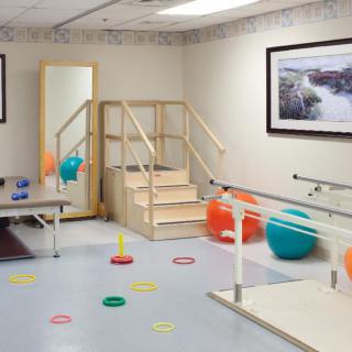 A rehabilitation room equipped with various physical therapy tools including parallel bars, exercise balls, and a mirror.