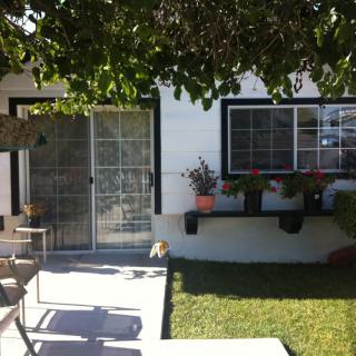 A sunny backyard with a patio area, windows adorned with plants, and lush greenery.