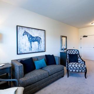 A modern living room with a grey sofa, patterned armchair, and horse artwork.