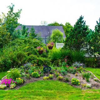 A vibrant garden with various flowers and plants in a lush, green outdoor setting.