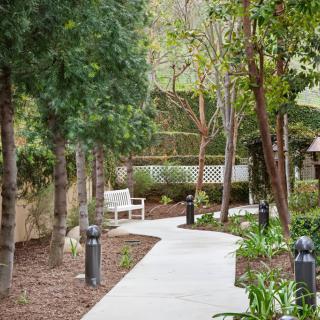 A serene garden pathway with benches surrounded by trees.