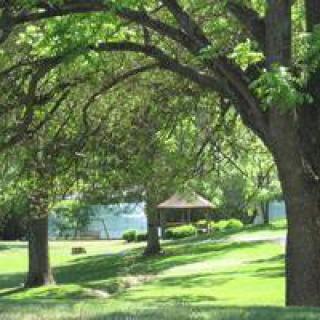 A serene park with lush greenery and shaded areas.
