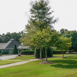 A suburban scene with a house, driveway, and trees on a grassy lawn.
