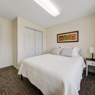 A neatly arranged bedroom with a bed, nightstand, lamp, and closet.