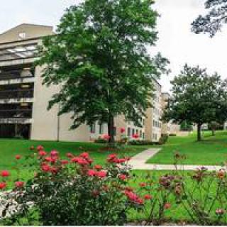 A residential building surrounded by a lush green lawn, trees, and colorful flowers.