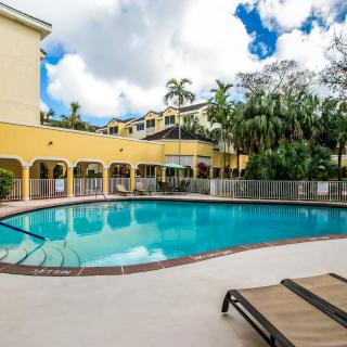 An inviting outdoor swimming pool surrounded by a scenic resort setting with palm trees under a bright, sunny sky.