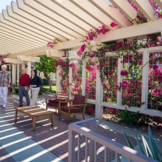 A serene outdoor space adorned with vibrant flowers, featuring a pergola and comfortable seating.