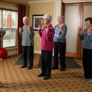 A group of seniors participating in an exercise class, promoting fitness and wellness.