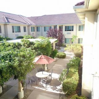 A sunny courtyard with outdoor tables and an umbrella surrounded by lush greenery.
