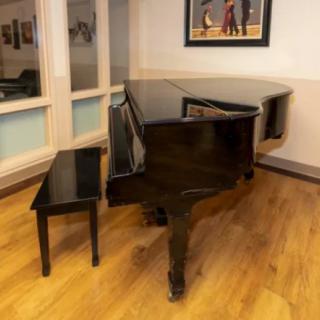 A grand piano with a matching bench on a wooden floor in a cozy room.