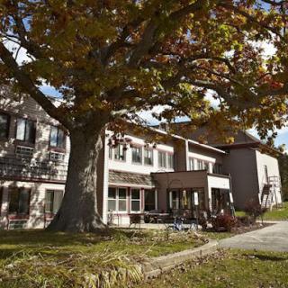 A large tree with autumn leaves stands in front of a multi-story house.