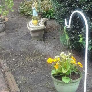 A garden scene featuring a hanging planter with vibrant yellow flowers and decorative elements along a pathway.