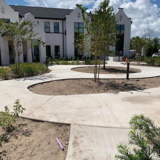 A modern residential area with a paved walkway and newly planted trees under a cloudy sky.