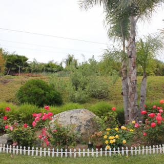 A beautiful garden with colorful flowers, a large rock, and palm trees surrounded by lush greenery.