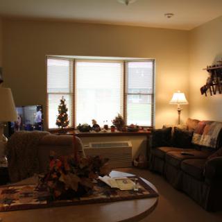 A cozy living room with a comfortable sofa, decorative items, and natural light streaming in from the window.